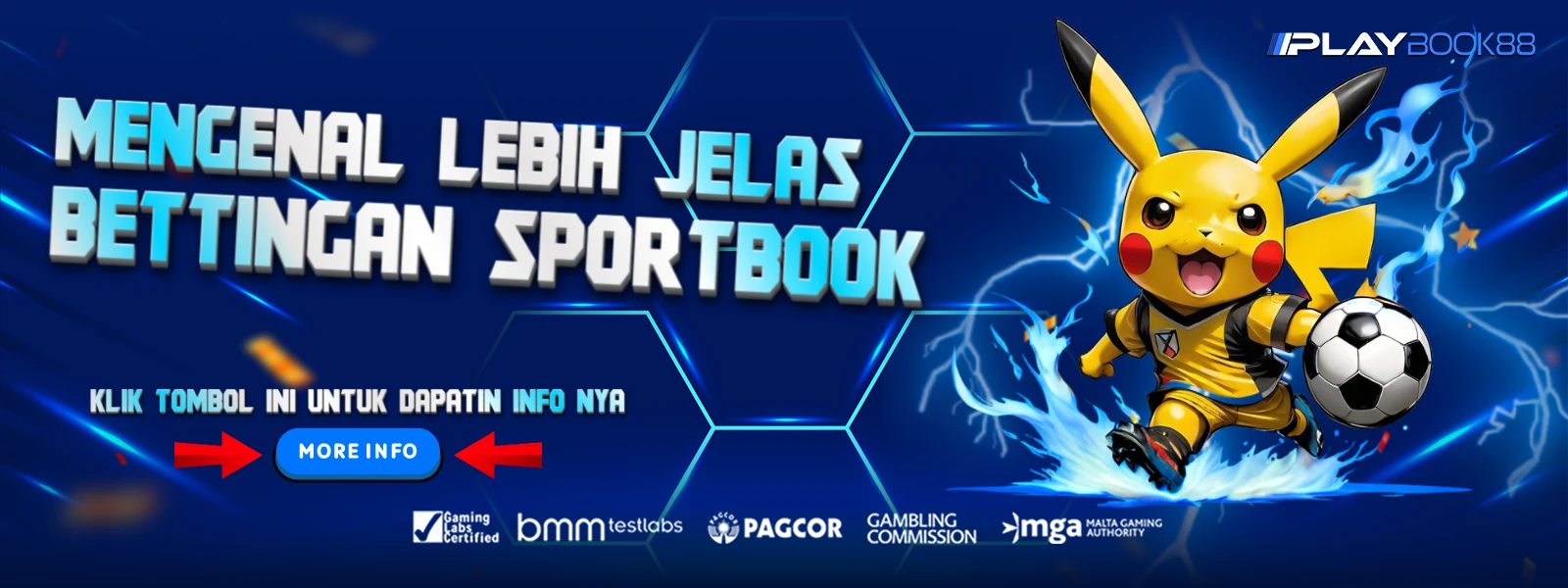 APA ITU SPORTSBOOK?
